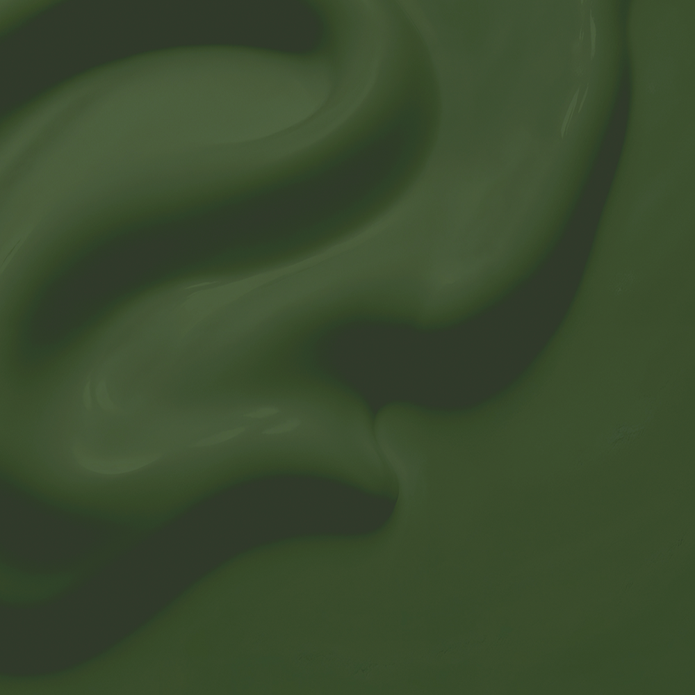 LH005-10-color-kolor-Lakier-Hybrydowy-Gel-Polish-Im-a-pickle-005-zielony-green-VeryYou